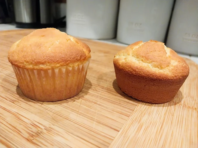 muffin-liner-vs-without-same-amount-of-batter-bake-time-why-v0-rnd91m6969de1