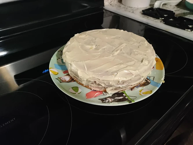 made-my-very-first-cake-vanilla-v0-h7a5jbedclhe1