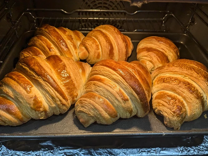 My first successful croissant batch